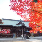 少林山達磨寺で見られるダルマと紅葉の鮮やかなコラボレーション！【群馬】おすすめスポット