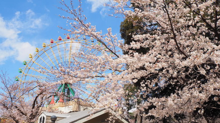 華蔵寺公園 花まつりに桜を見に行ってきました！【群馬】おすすめイベント