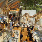 群馬県立自然史博物館は大迫力の恐竜と自然が展示されたハイクオリティな博物館！【群馬】おすすめスポット