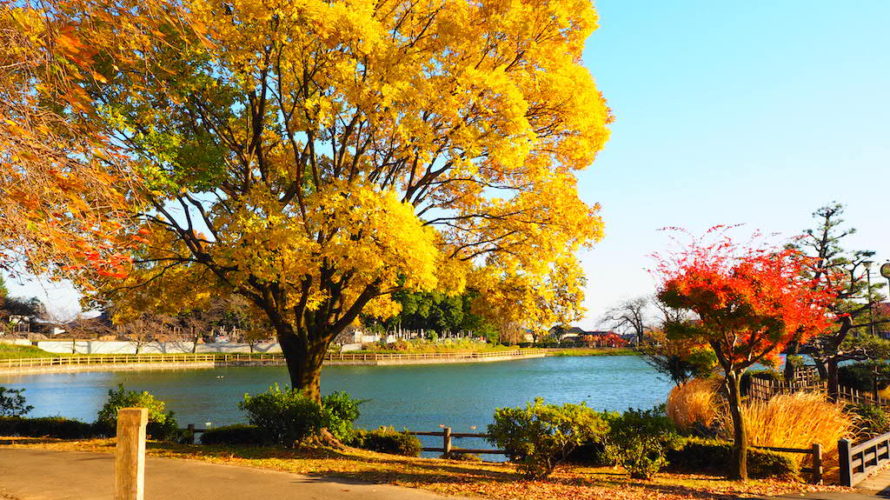 三ツ寺公園はイオン高崎も近い、湖でボートに乗れる自然豊かな公園！【群馬】おすすめスポット