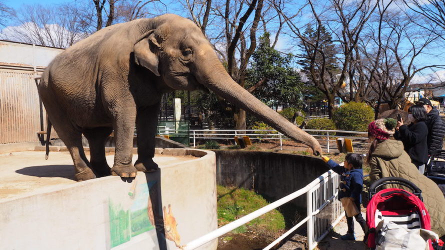 宇都宮動物園は大型動物ともふれあえる地域密着型のレトロな動物園！【栃木】おすすめスポット