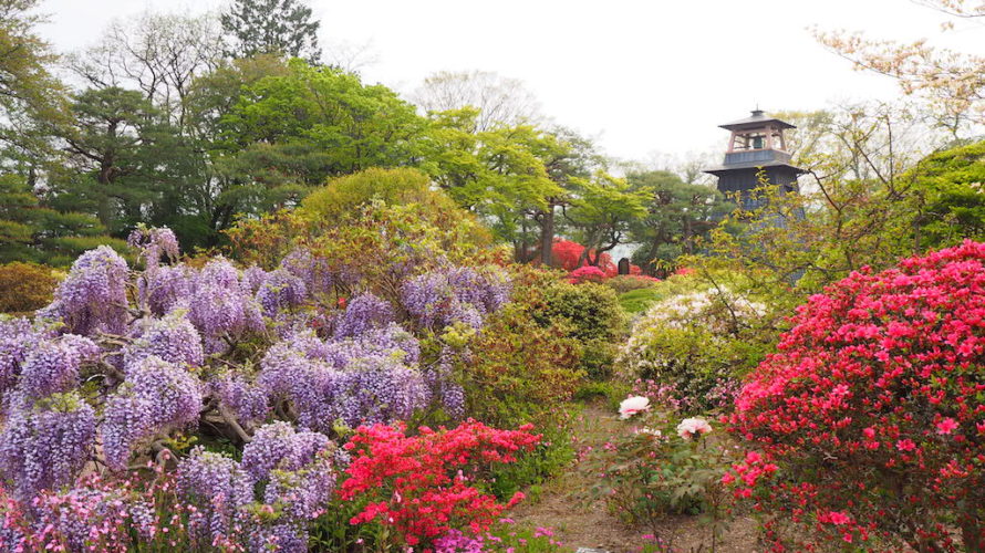 沼田公園は沼田城址に整備された自然と動物も楽しめる歴史公園！【群馬】おすすめスポット