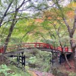 伊香保石段街の最奥にある紅葉で有名な河鹿橋と秘境のような露天風呂！【群馬】おすすめスポット